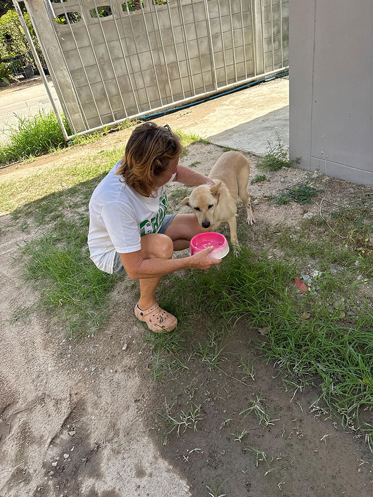 feeding