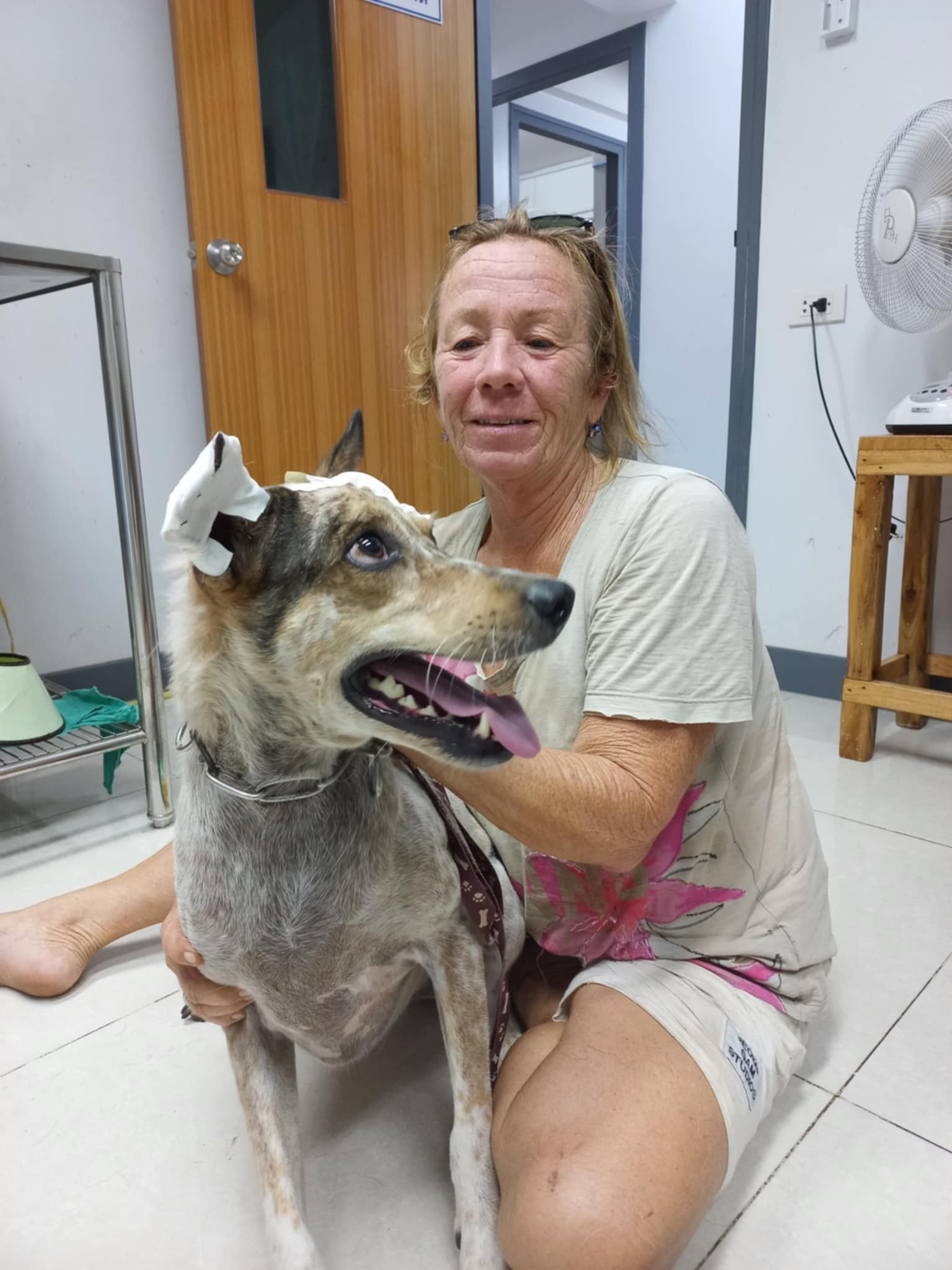 at the vet