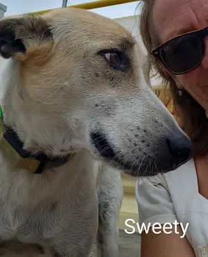 Sweetie